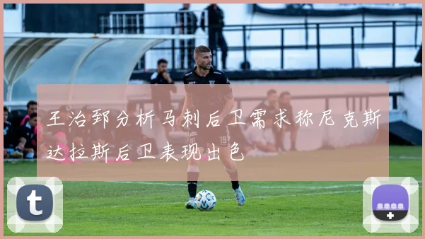 王治郅分析马刺后卫需求称尼克斯达拉斯后卫表现出色